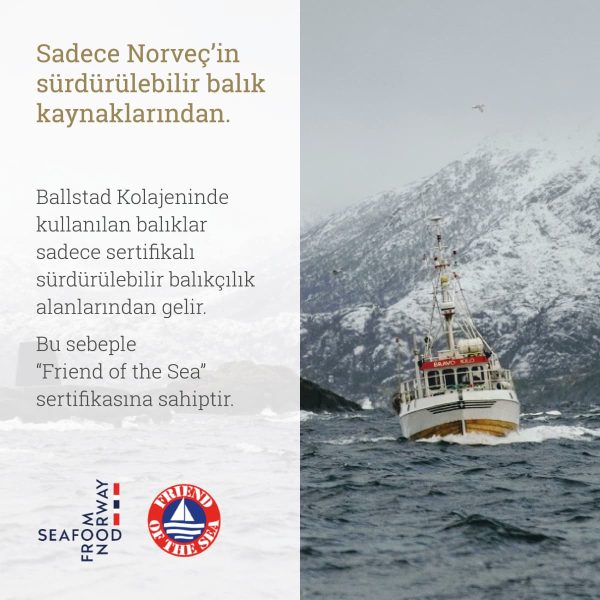 Ballstad Somon Kolajen - Kaşıklı - Görsel 4